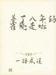 养了八年的金丝雀飞走啦