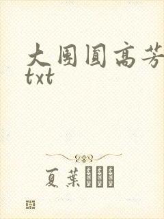 大团圆高芳小说txt