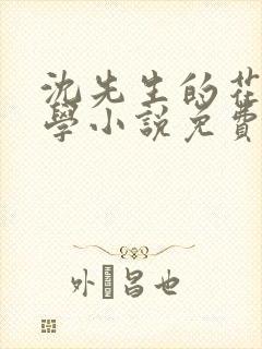 沈先生的花式教学小说免费