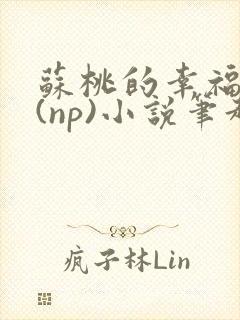 苏桃的幸福生活(np)小说笔趣阁沐沐