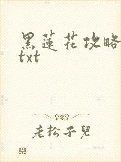 黑莲花攻略手册txt