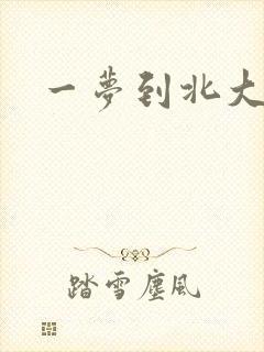 一梦到北大