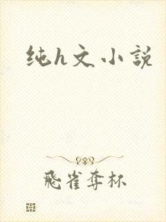 纯h文小说