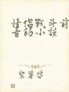 情侣战斗前适合看的小说