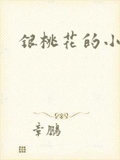 银桃花的小说