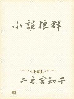 小说狼群