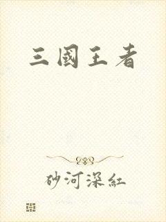 三国王者
