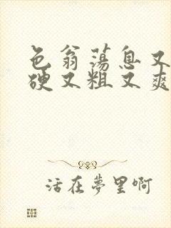 色翁荡息又大又硬又粗又爽小莹