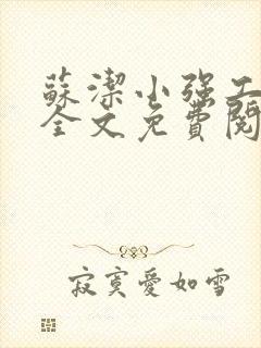 苏洁小强工地情全文免费阅读