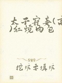 太子宠妾(高肉)红烧肉包