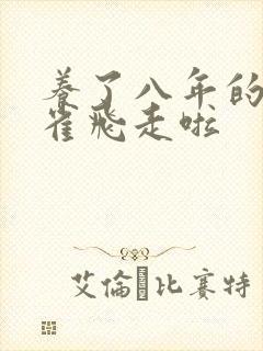 养了八年的金丝雀飞走啦