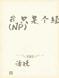 我只是个经纪人(NP)