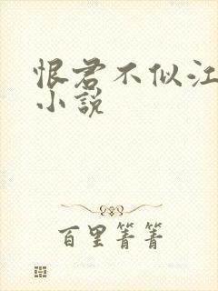 恨君不似江楼月小说