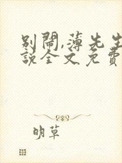 别闹,薄先生小说全文免费阅读