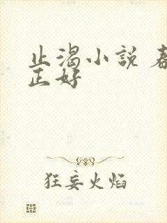 止渴小说 春光正好