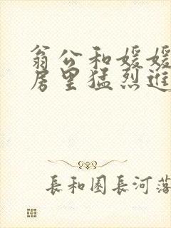 翁公和媛媛在厨房里猛烈进出