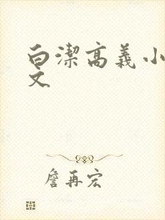 白洁高义小说全文