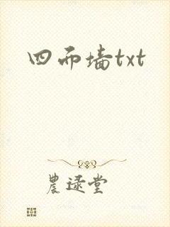 四面墙txt