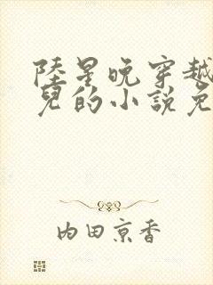 陆星晚穿越成婴儿的小说免费阅读全文