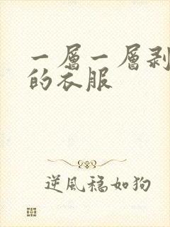 一层一层剥开我的衣服