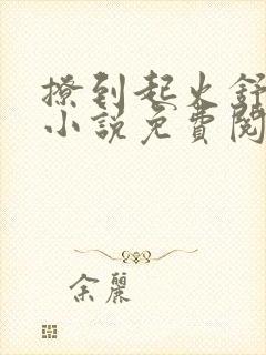 撩到起火舒漾的小说免费阅读全文