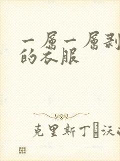 一层一层剥开我的衣服