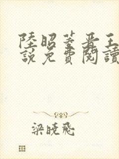 陆昭菱晋王的小说免费阅读