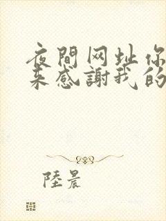 夜间网址你会回来感谢我的