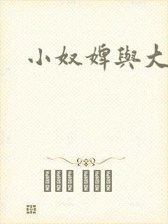 小奴婢与大少爷