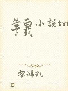 告白小说txt下载