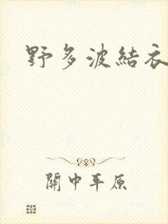 野多波结衣
