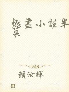 燃尽小说半截白菜