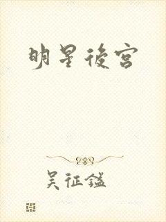 明星后宫