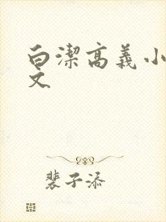 白洁高义小说全文