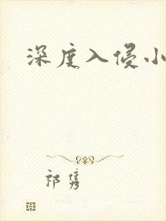深度入侵小说