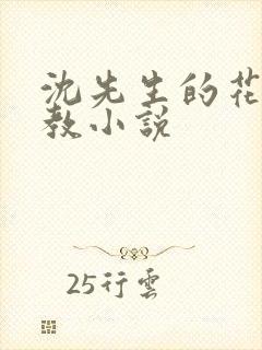 沈先生的花式调教小说