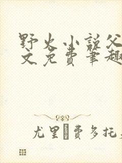 野火小说父女全文免费笔趣阁