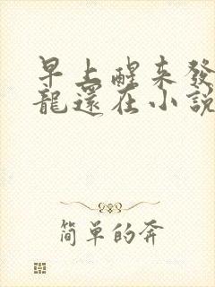 早上醒来发现巨龙还在小说