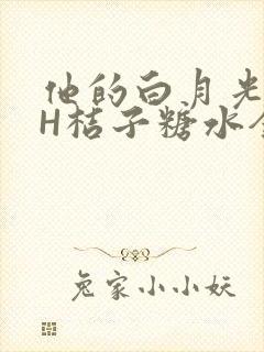 他的白月光HVH桔子糖水全文