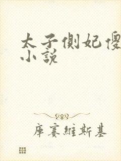 太子侧妃傻乎乎小说