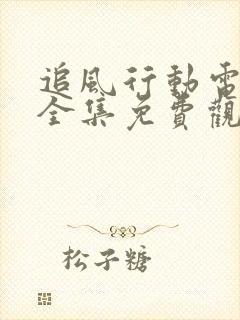 追风行动电视剧全集免费观看