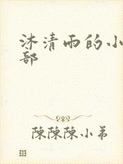 沐清雨的小说全部