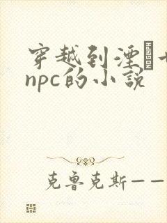 穿越到湮婸世界npc的小说