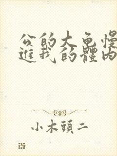 公的大龟慢慢挺进我的体内视频