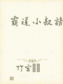 霸道小叔请轻撩