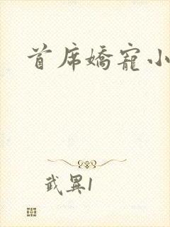 首席娇宠小情人