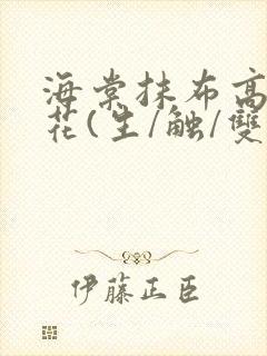 海棠抹布高岭之花(生/触/双)