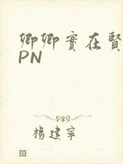 卿卿实在贤良NPN