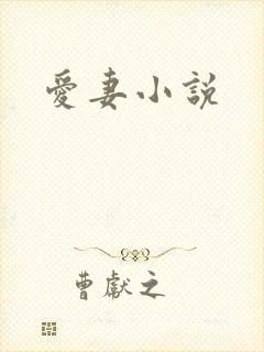爱妻小说