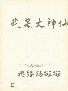 我是大神仙小说
